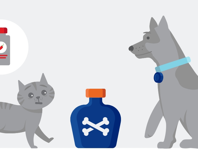Illustration of a cat and dog by a poison bottle