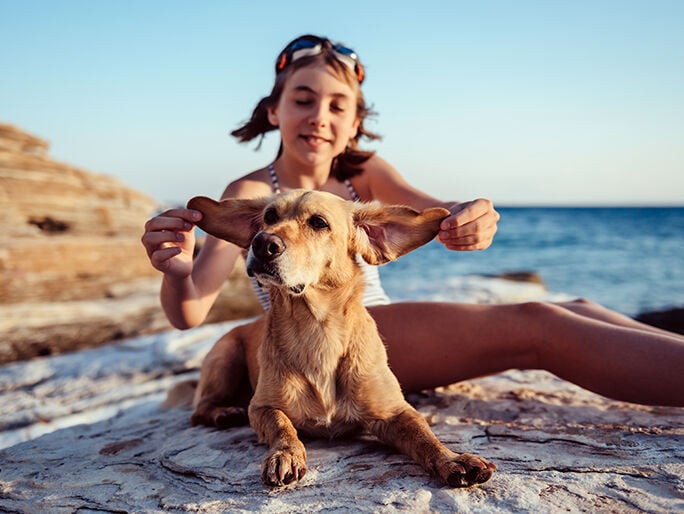An owner playing with their dog's ears