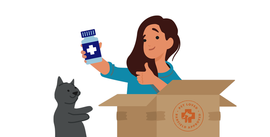 Illustration of a woman with a cat