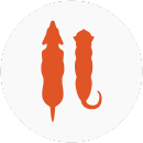 Illustration of a cat and dog with ideal body weights