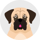 Illustration of a mastiff