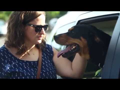 Banfield Events