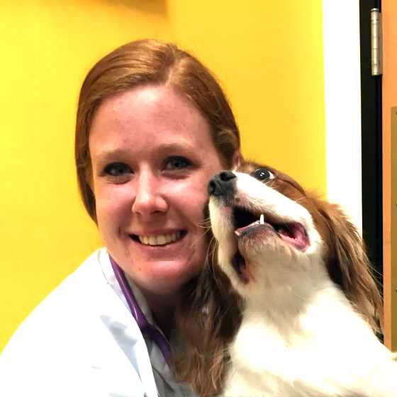 Profile picture of Gwen Johnson, DVM, Veterinarian