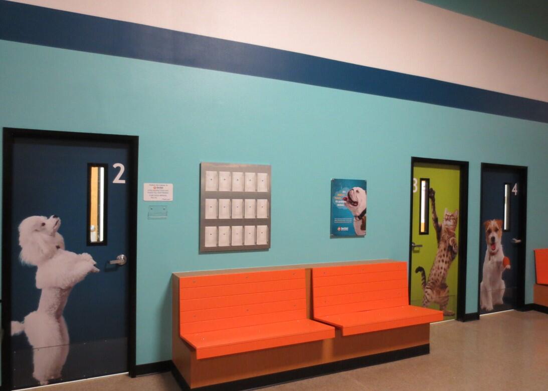 Banfield Pet Hospital: Chandler E lobby