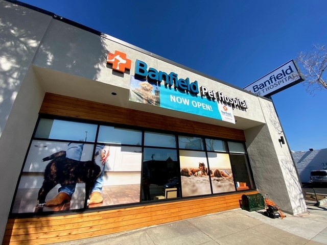 Outside the Pacific Beach Banfield
