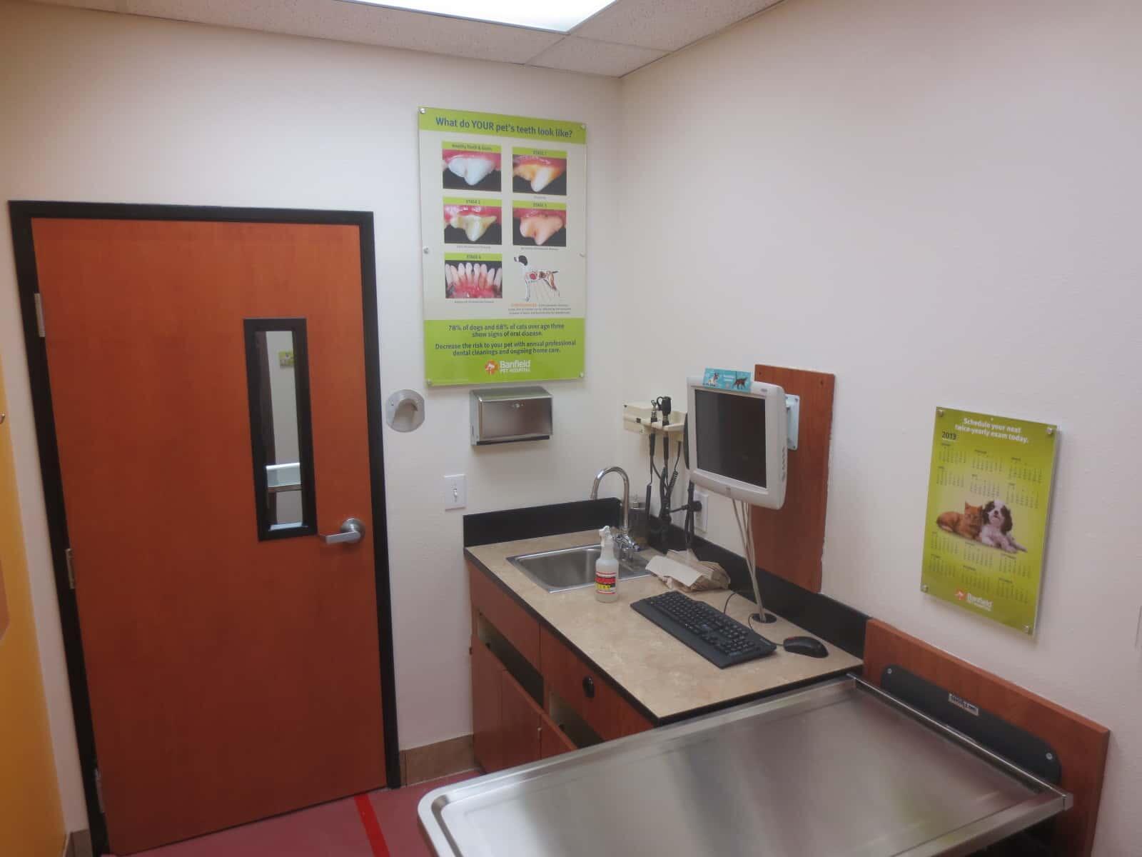 Banfield Pet Hospital: El Cajon exam room