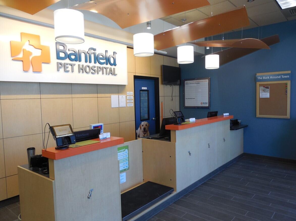 Banfield Pet Hospital: Eastlake front desk