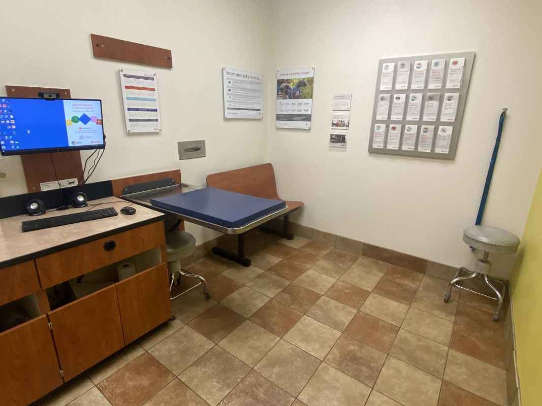 The exam room of the Banfield Encinitas hospital