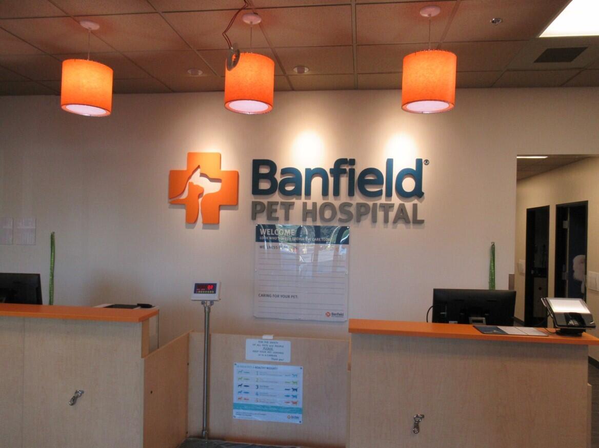 Banfield Pet Hospital: Temecula Town Center front desk