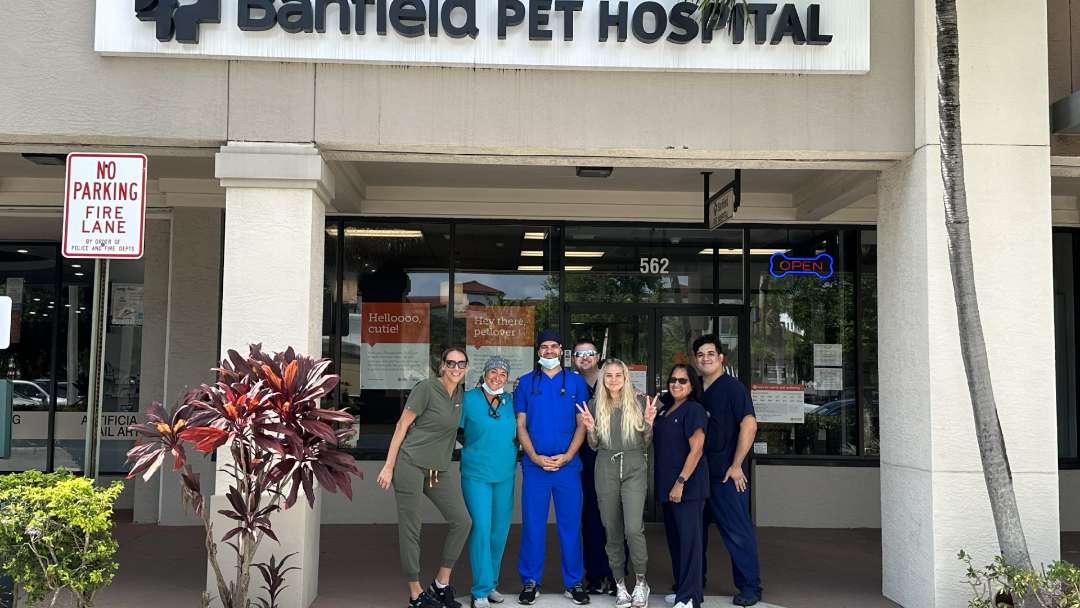 The Boynton Beach Sunshine Square team