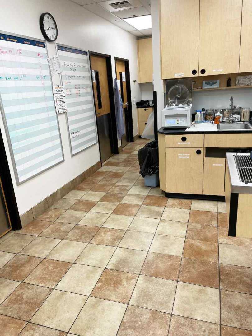 The lobby of the Banfield Pet Hospital