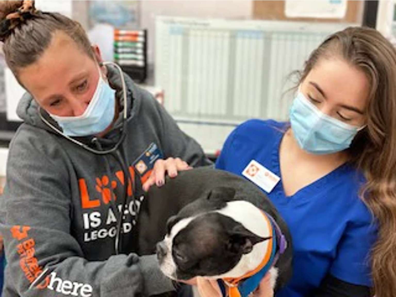 A couple of associates holding a dog at the Banfield Pet Hospital