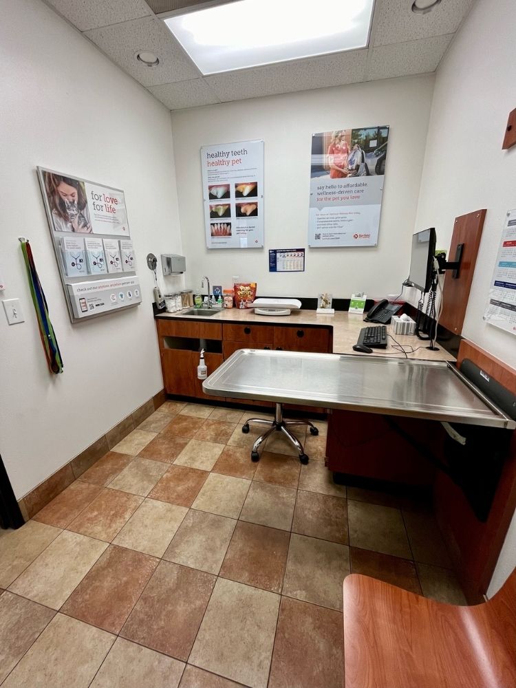 Exam room at Wichita E Banfield