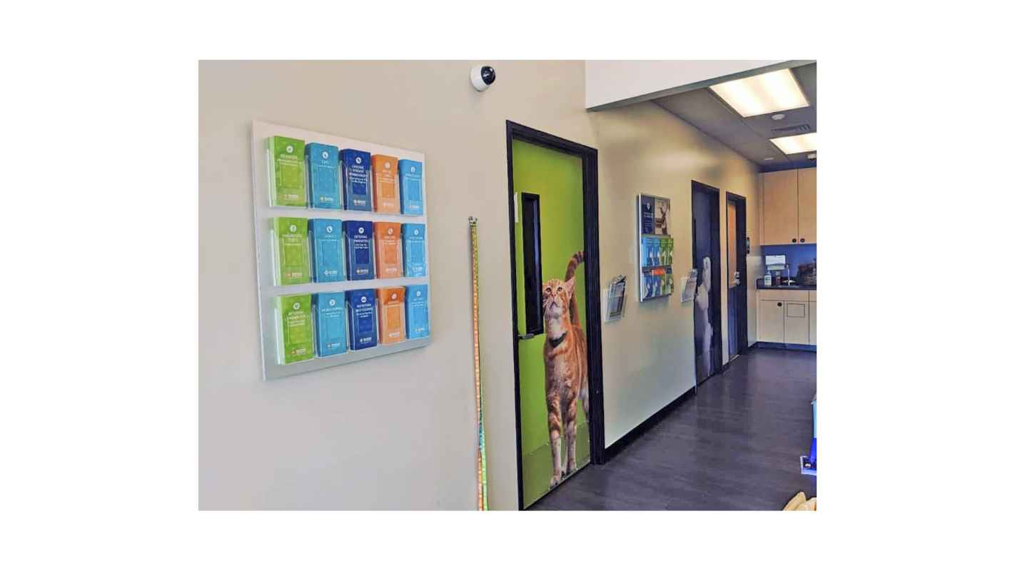 The hallway of exam rooms