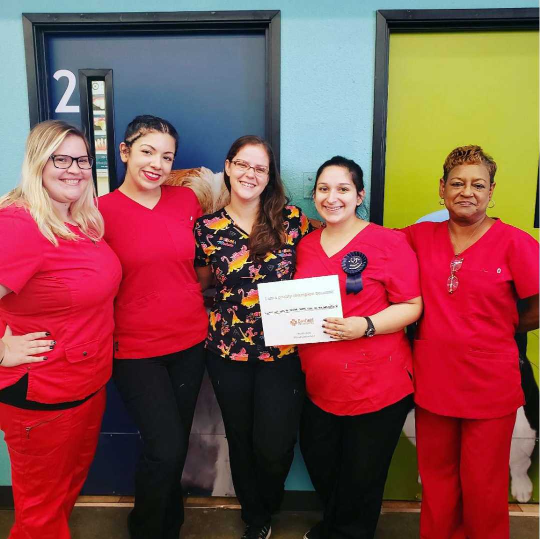 A group of associates at the Banfield Pet Hospital, Houston E, TX