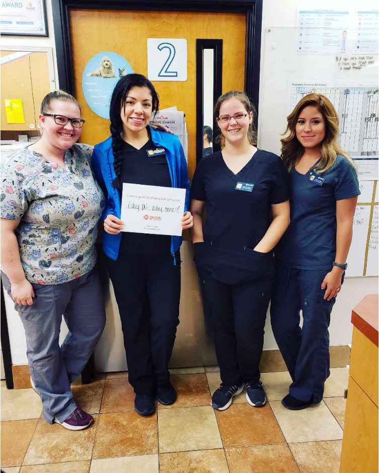 A group of associates at the Banfield Pet Hospital, Houston E, TX