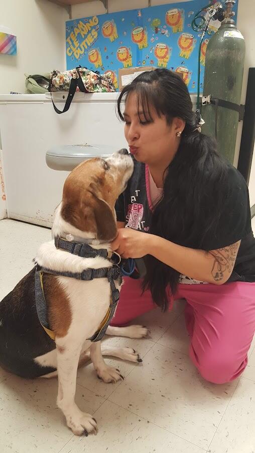 An associate kissing a dog