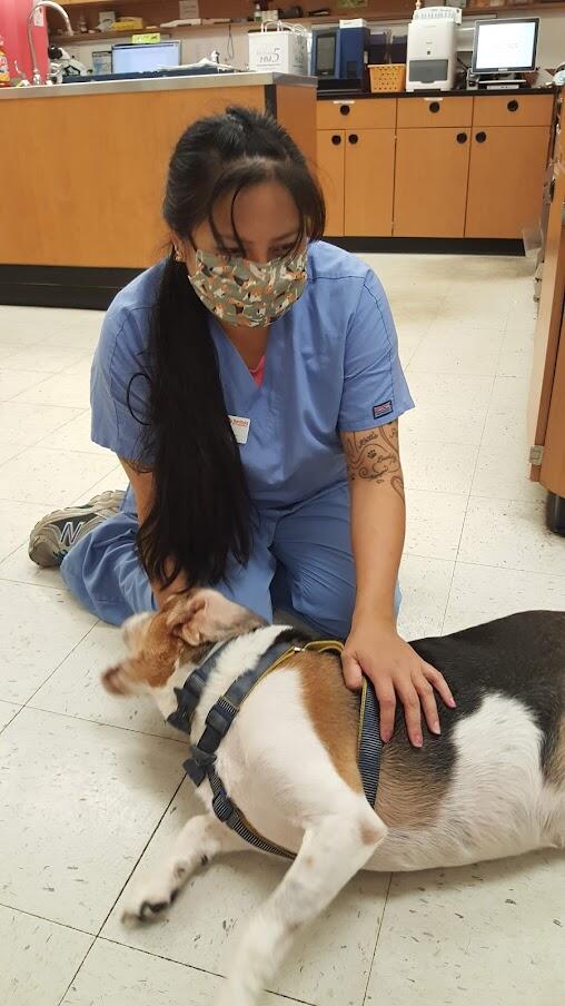 An associate petting a dog