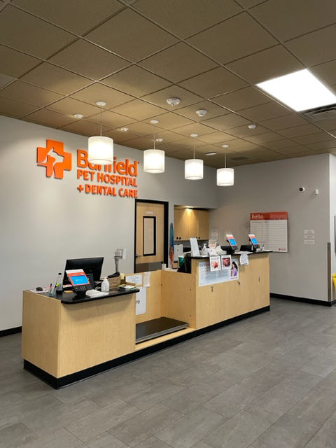 The lobby of the Gresham standalone